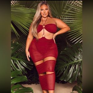 Sexy Curvy Swim Dress